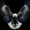 anwargull999