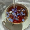 cup_of_tea37