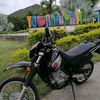 darwindavidsanche1