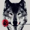 wolf.1312