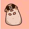 playfulpanda855