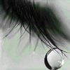 user7371022947403