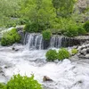 dersimli_62_arslan
