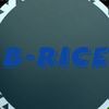 b.ricegaming