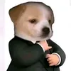 pmhd_clmm