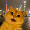 shrynh1