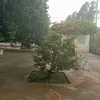 hoangan23014
