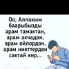 user7297611819122