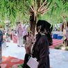 ani_0781