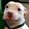 woof00000