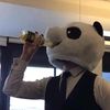 _not.a.panda_