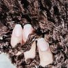 user600rabab