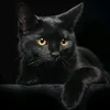 oyen_chen