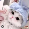 tu.tay.to3