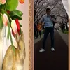 kieuhoangviet3