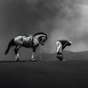 raed8330