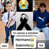 silvibracho100