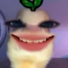 vyvy58727