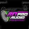 apin_2006