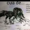 nguync362