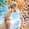 talha.4323