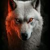 wolf42006