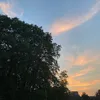 ncha_9