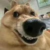 ngthanhtr2602