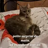 beatricegobert2