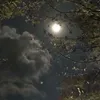 joan20_2