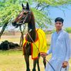 abdullahvirk673