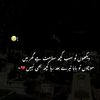 alihanoor550