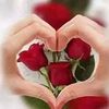 user3584806159249