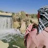 hanahabib80