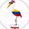 ilianapintososa