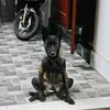 _hoanphy322