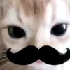 j__xil91