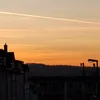 leland_432