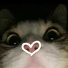 user01739289076nny_