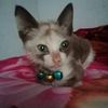 nandaabink46