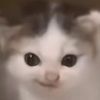 theclingiestkitten