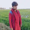 hakimalbevvvv0