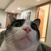 poptart_the_demon