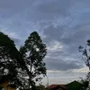 thiphuong2225