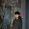 pariganteryamidex