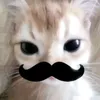 jayyyiiu