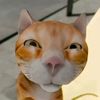 taek__kabeh