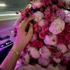 alin_hsnva