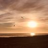 heartofgold_702