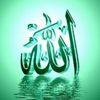 lailaabdalhamid5